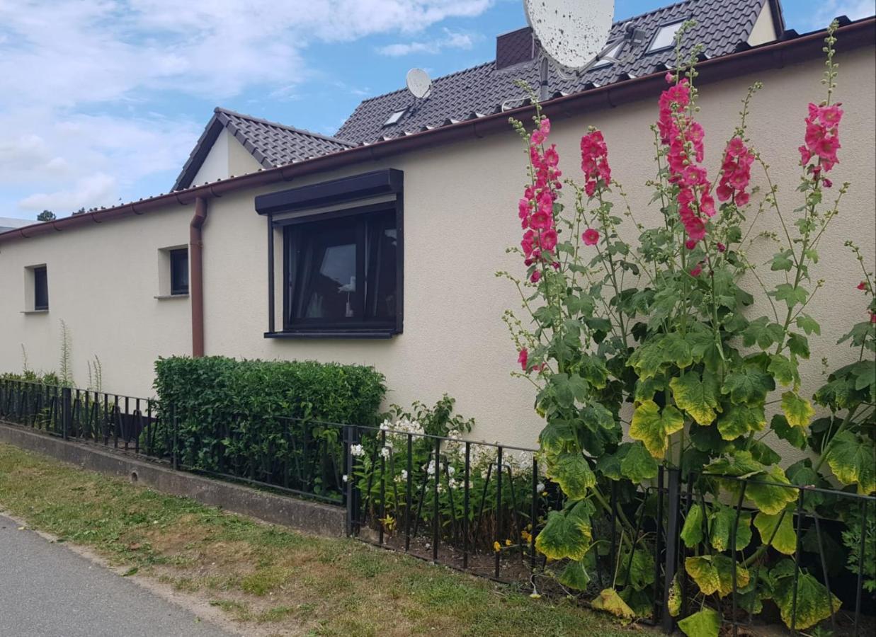 Ferienhaus An Der Ostsee Rerik Exteriör bild